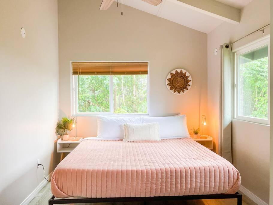 ケアアウHibiscus Hale, Full Kitchen, King Bed, Parkingアパートメント エクステリア 写真